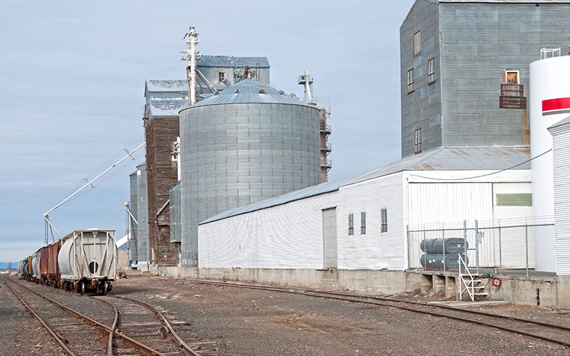 Agriculture